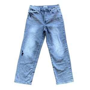 PISTOLA Straight Leg Jean Womens Sz 27 Grey High Rise Button Fly Distressed